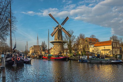 Molen De Roode Leeuw van Rinus Lasschuyt Fotografie