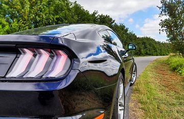 Zwarte Ford Mustang Model 2018 Koplamp van MPfoto71