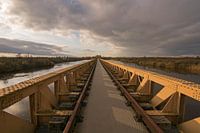 The Moerputten Bridge during the golden hour