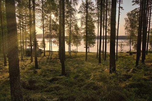Zonlicht overspoelt het bos bij het meer met hutten, vredige natuurlijke idylle