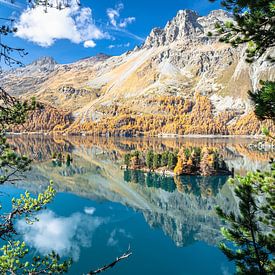 Lake Sils, Switzerland in the autumn by Menno van der Haven