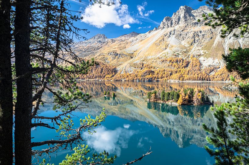 Der Silsersee, Schweiz im Herbst von Menno van der Haven