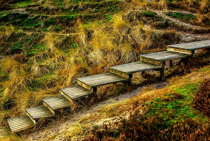 Sylt: On the wodden way by Norbert Sülzner