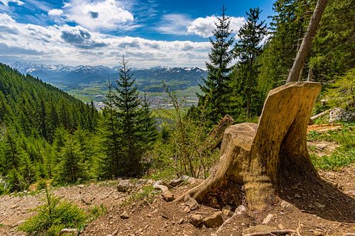 Uitzicht vanaf de Grünten in Allgäu