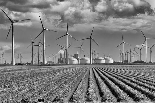 Industriegebied Eemshaven (Nederland)