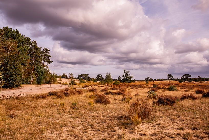 Heath View Cloudy Sky 7 - Loonse en Drunense Duinen van Deborah de Meijer