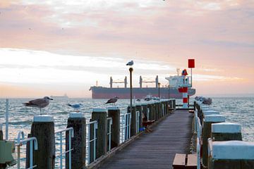 Koude zonsopkomst in Vlissingen van Sabina Meerman