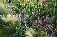 moderne border