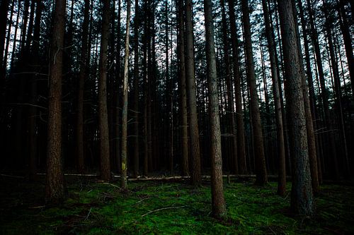 Het Leesten Ugchelen (Pays-Bas)