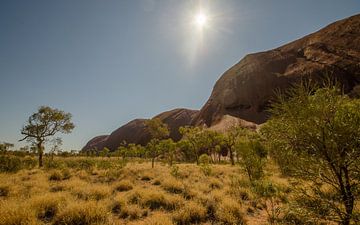 Uluru von Pieter van der Zweep