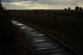 Path through the moor by Schwarzes Pech Photography