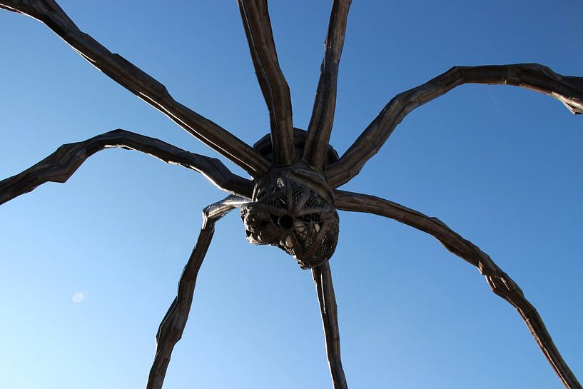 Maman by Matthias Brix