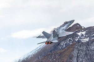 Boeing F/A-18 Hornet Solo Display Schweizer Luftwaffe.