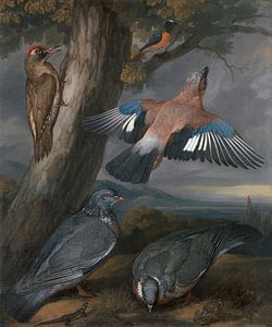 Landschap met een groene specht, een Vlaamse gaai, twee duiven, Francis Barlow