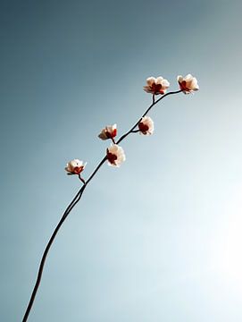 Verwandlung des Augenblicks