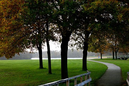 Bomen in het park / trees in the park von Ocmer Fotografie