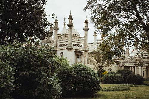 Botanical vibes at Brighton Pavilion | Travel photography fine art photo print | England, UK