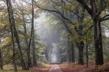 Beginning of autumn