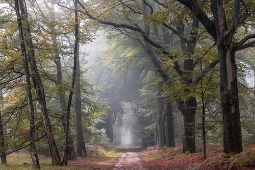 Begin van de herfst