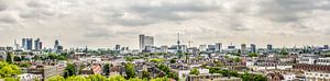 Skyline Rotterdam van Patrick Herzberg