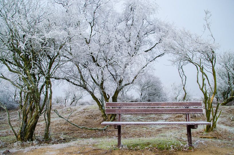 Winter plaat(s) by Yvonne van der Meij