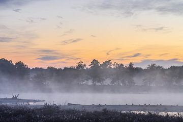 brume sur les fens sur Tania Perneel