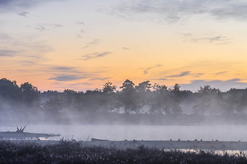 mist over the fens by Tania Perneel