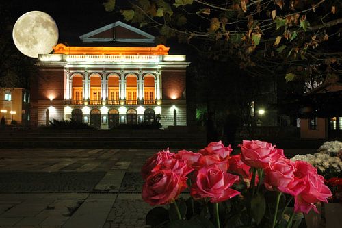 Roses and moon