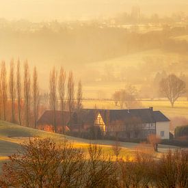 Hügelland im Morgennebel von Stan Bessems