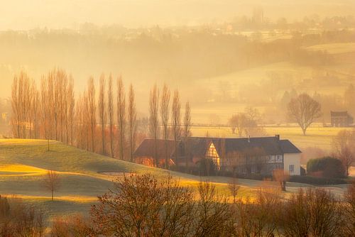 Hill country in the morning fog by Stan Bessems