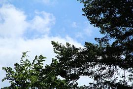 wolken  natuur van hans nagtegaal