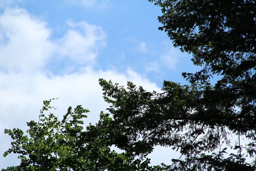 wolken  natuur von hans nagtegaal