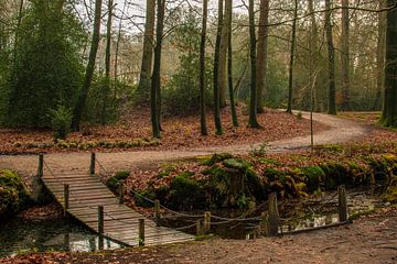 Brug van Kelly Wiersum