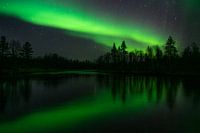 The Northern Lights
