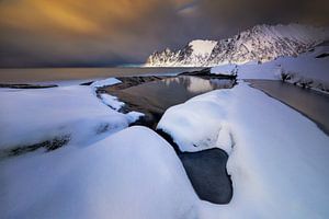 Tugeneset snowy coast van Wojciech Kruczynski