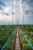 Suspension bridge above the Amazon forest, Ecuador