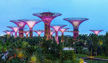 Supertree Grove, Singapore van Yevgen Belich