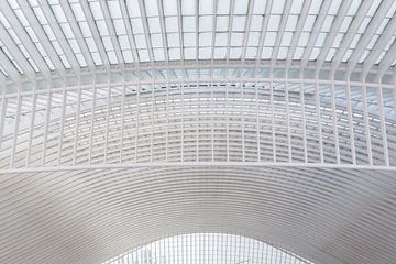 Architectuur Liège-Guillemins, station Luik, ontworpen door Calatrava. van Shaquille Maarschalkerweerd