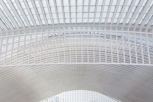 Architectuur Liège-Guillemins, station Luik, ontworpen door Calatrava.