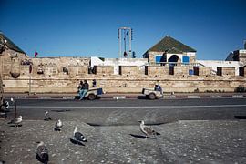 1001 possibilités sur Lieke Caminada