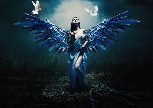 looking into the light