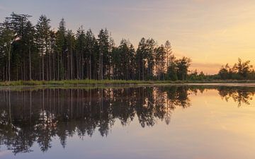 Dwingelderveld - Drenthe (Nerderland) von Marcel Kerdijk