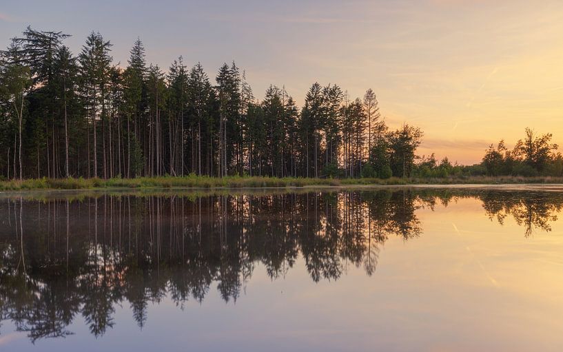 Dwingelderveld - Drenthe (Nerderland) par Marcel Kerdijk