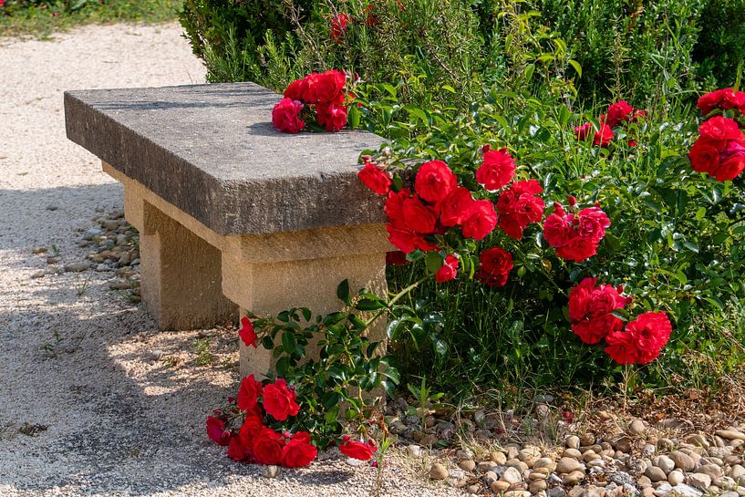 Banc de parc avec roses rouges par Bettina Schnittert