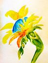 sunflower  van M.A. Ziehr thumbnail