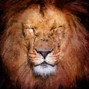 Portret van een prachtige leeuwenkop (kunst) van Art by Jeronimo thumbnail