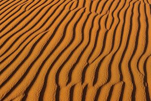The beauty of the desert