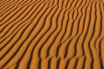 De schoonheid van de woestijn van Jeroen Kleiberg