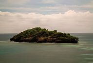 onbewoond eiland Grenada Caribbean van Bart Hagebols thumbnail