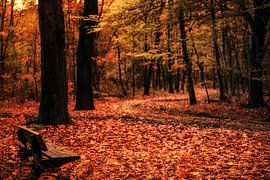 Punkt speichern von Cho Tang